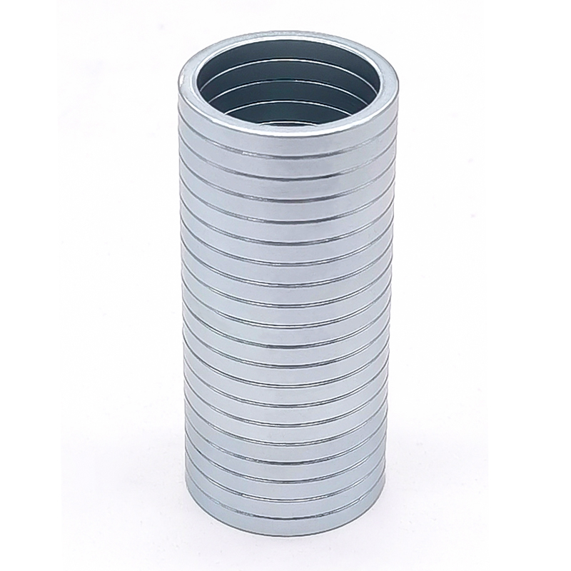 D23.8*D19.8*2.5mm Zinc Color Strong Force Ring Shape NdFeB Magnet in Costimestic Packaging